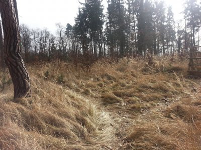 Singletracky Kunraťáku již příští neděli...