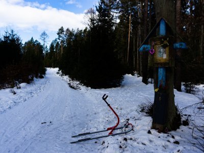 Pár centimetrů sněhu na lesní cestě bohatě stačí