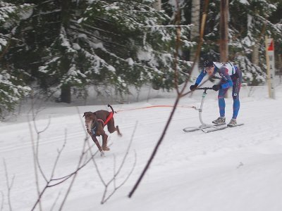 Kai Immonen a musherské pojetí sněhoběžky