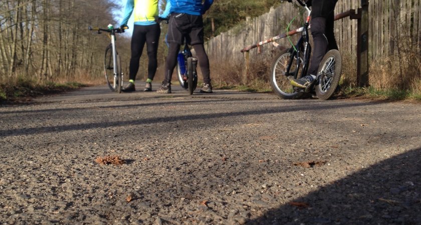 Kousek za Dobříší jedete podél obory, kam by správně neměla auta