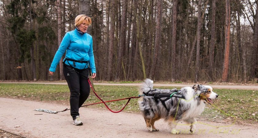 Neposlouchá-li Vás miláček, je dobré pro začátek mít ho pod dohledem a být spojeni