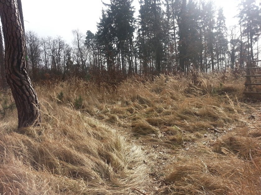 Singletracky Kunraťáku již příští neděli...