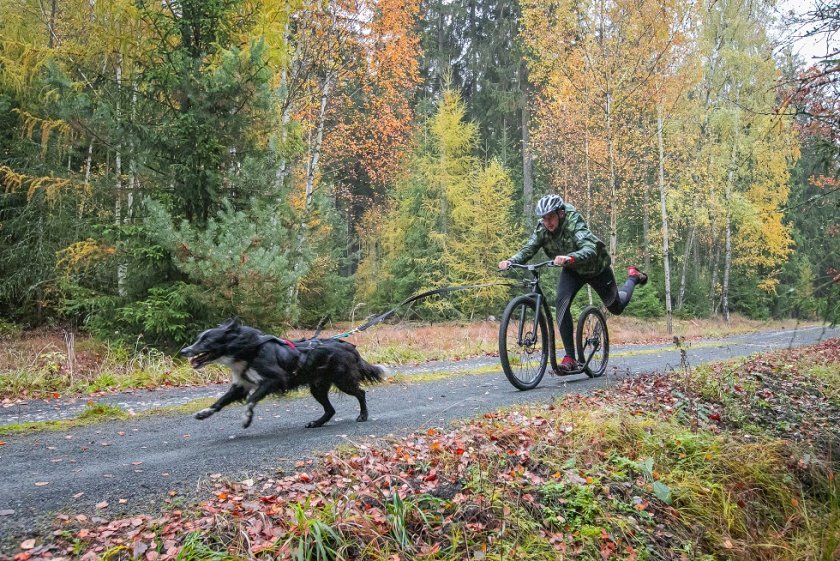 29er v akci