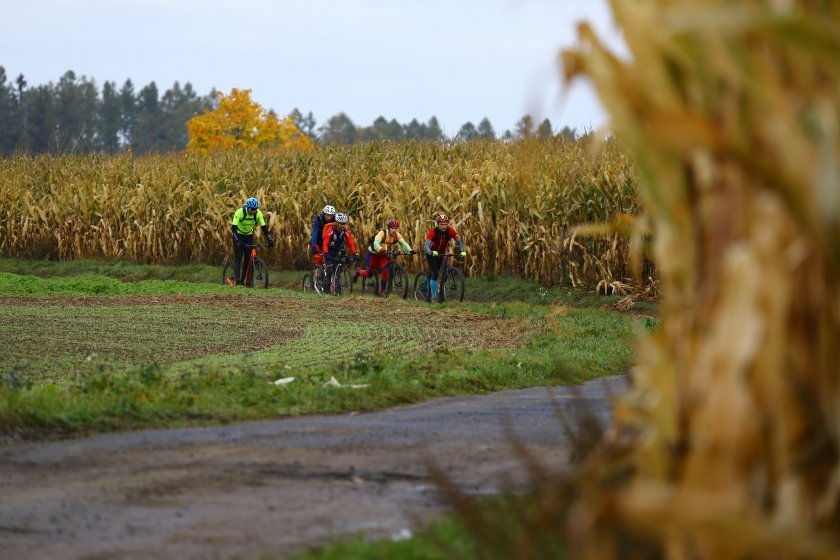 Vedoucí skupina a kukuřice